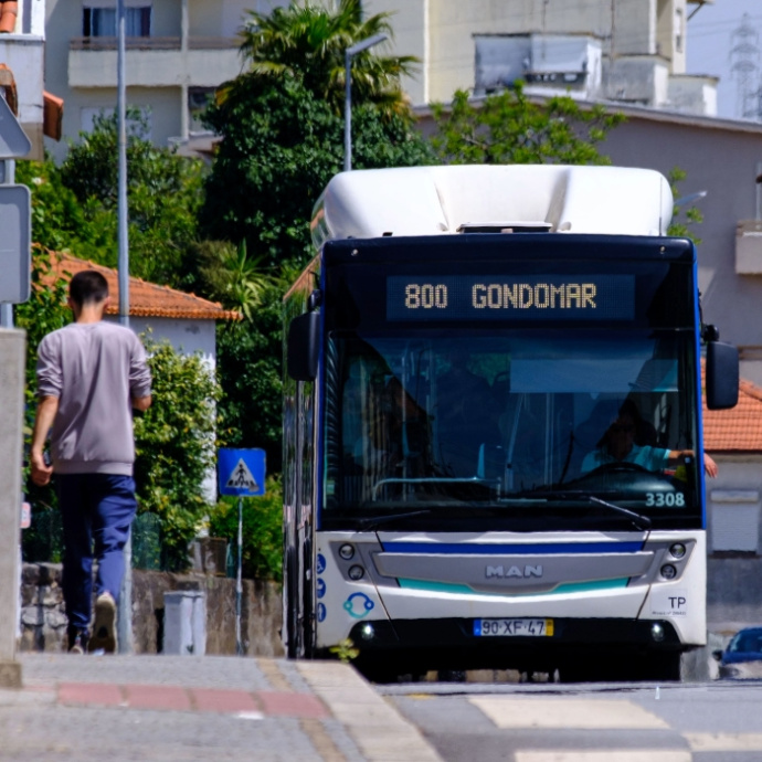 autocarro linha 800